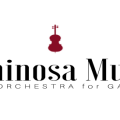 Luminosa String Orchestra