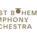 Západočeský symfonický orchestr / West Bohemian Symphony Orchestra