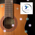 1st International Online Guitar Competition "Winter Guitar Prize"