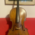 Cello from Milan early 1900