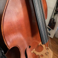 Contrebasse Mirecourt 1950 (René Cune)
