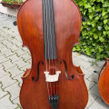 Professional Cello Alessandro Gagliano 4/4 Luthier Dumitru Pop