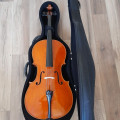 Cello, Gioannes Volturar, 2014