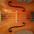 5 string cello / violoncelle à 5 cordes