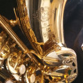 Selmer SA 80 Serie-II Alto Saxophone