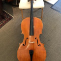 Cello by Francis Kuttner (2013)