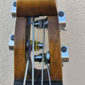 electric double bass Alter Ego made in Rome 2011 by Alexander Hohenegger