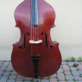 Solo double bass ENRICO GHIGI