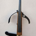 electric double bass Alter Ego made in Rome 2011 by Alexander Hohenegger, , 