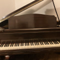 Lanstein baby grand 735494 1930s