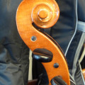 Stentor Conservatoire 3/4 size cello.