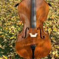 Professional Cello Alessandro Gagliano 4/4 Luthier Dumitru Pop