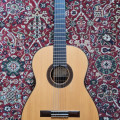 Peter Barton concert guitar
