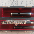 Lillian Burkart Professional piccolo