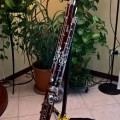 Stolen bassoon - Moosmann