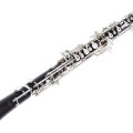 Oboe (Rigoutat - Riec) stolen on the train