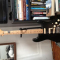 Fender Mexican "David Gilmour" Strat