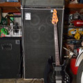 Black Peavey T-40