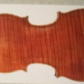 A VIOLIN "OTELLO BIGNAMI" BOLOGNA 1977 STOLEN IN TURIN ITALY, , ,