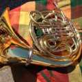 Stolen in México. Morelia, Double Horn Holton Mod. H280 in a Protect Case