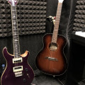 Amethyst PRS SE Custom 24, , ,