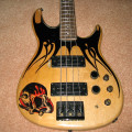 Custom Peavey Dyna Bass