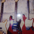 Fender Stratocaster MIM