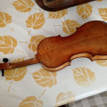 VIOLON BERGONZI, ,