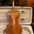 Arthur Fremont Viola 2012, ,