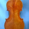 Rubato violino Fiorini, ,