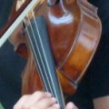 Stolen in France: Viola "Jakob Petz Geigenmacher zu Vils Tyrol 1723", ,