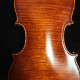 Violin by Stefano Conia (father), ,