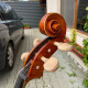 Professional Cello Alessandro Gagliano 4/4 Luthier Dumitru Pop, , , , , ,