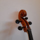 Cello, Gioannes Volturar, 2014, , , , ,