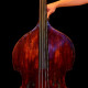 Johannes Trinelli, 1810, Doublebass, ,