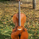 Professional Cello Alessandro Gagliano 4/4 Luthier Dumitru Pop, , , ,