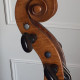 French cello bearing the label “Collin-Mezin 1907”, , , ,