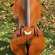 Professional Cello Alessandro Gagliano 4/4 Luthier Dumitru Pop, , , , , ,