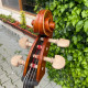 Professional Cello Alessandro Gagliano 4/4 Luthier Dumitru Pop, , , ,