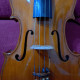 bellissima Viola del liutaio Dario VERNE' anno 1996, , , , ,