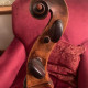 Beautiful old German Cello c.1850, , , , , ,