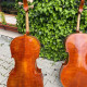 Professional Cello Alessandro Gagliano 4/4 Luthier Dumitru Pop, , ,