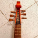 Viola da gamba tenore, , , , ,