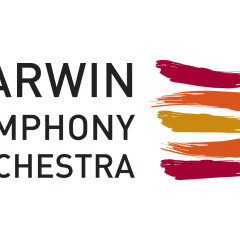 Darwin Symphony Orchestra