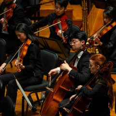 Master of Music (Orchestral Performance), University of Melbourne