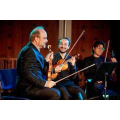 MA in Classical String Performance: University of Limerick