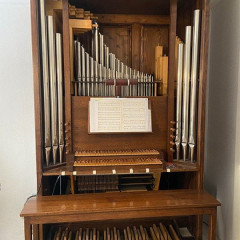 Birouste´s Study Organ,