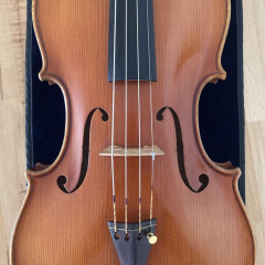 Pio Sbrighi viola. Capicchioni model,
