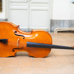 Italian Cello - 1976,