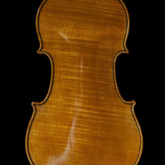 Old italian violin by Enzo Sandroni year 2003,